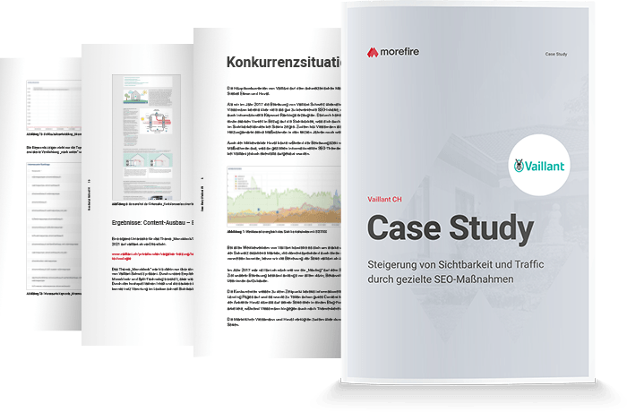 Vaillant Case Study zur Steigerung von Sichtbarkeit und Traffic durch gezielte SEO-Maßnahmen